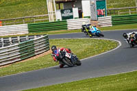 enduro-digital-images;event-digital-images;eventdigitalimages;mallory-park;mallory-park-photographs;mallory-park-trackday;mallory-park-trackday-photographs;no-limits-trackdays;peter-wileman-photography;racing-digital-images;trackday-digital-images;trackday-photos